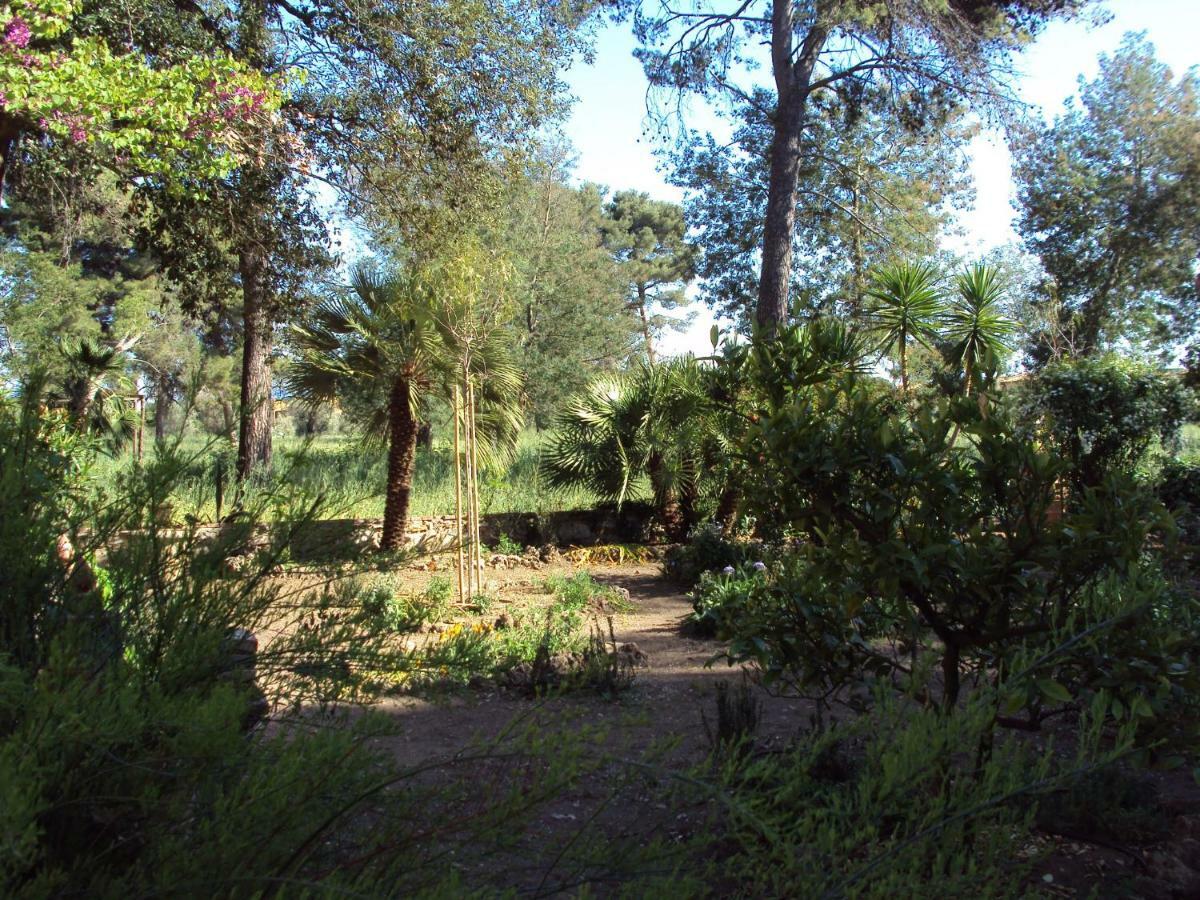 Villa Di Campagna Santa Giulia 卡波尼费拉 外观 照片