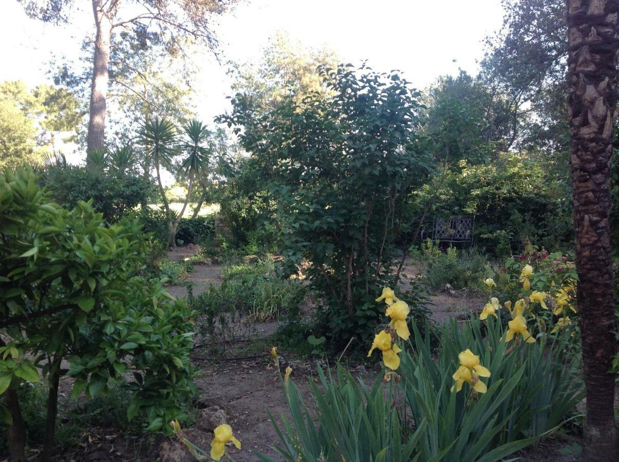 Villa Di Campagna Santa Giulia 卡波尼费拉 外观 照片